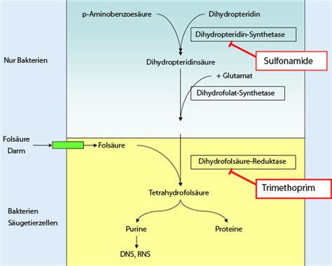 Bildergebnis für sacubitril wirkmechanismus