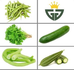 GRO GOLDEN SEEDS Ridge Gourd(Torai), Corriander (Dhaniya), Cucmber ...