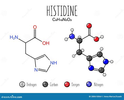 Histidine Structure