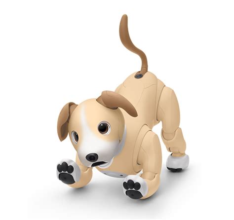 Sony releases Aibo Kinako Edition robotic dog in two-tone light brown and white - NotebookCheck ...