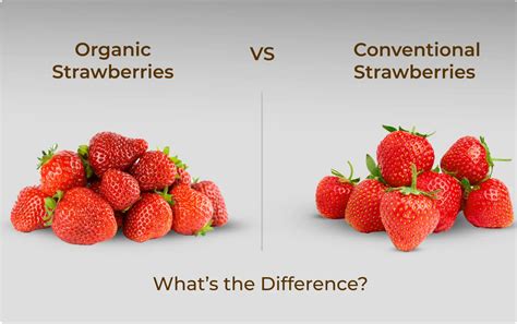 Organic Strawberries vs. Conventional Strawberries: What’s the Differe ...