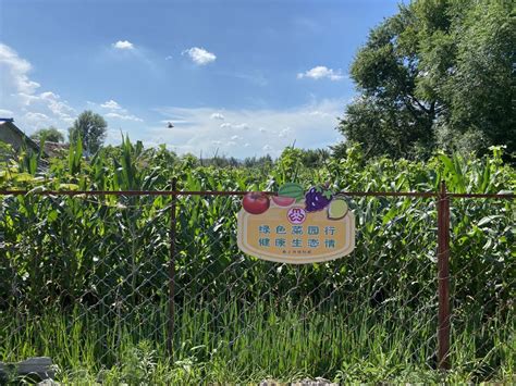 菜地花草植物插地户外警示标识幼儿园菜园花园种植提示牌木牌-阿里巴巴