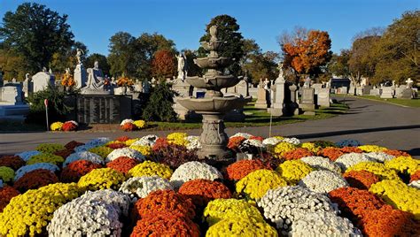 Photo Galleries - St. Michael's Cemetery