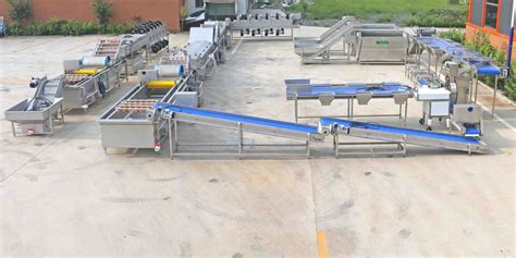 Fruit/ vegetable washing cleaning waxing and grading line--Zhengzhou ...