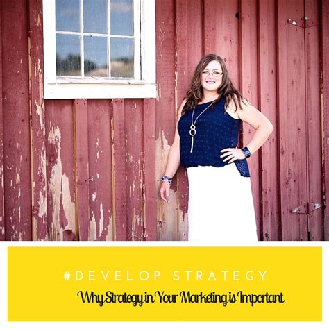 Develop Strategy 的图像结果