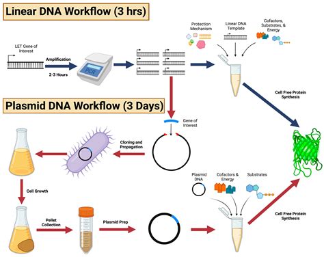 cell free dna 抽出 – 細胞フリーdna がん – UNII