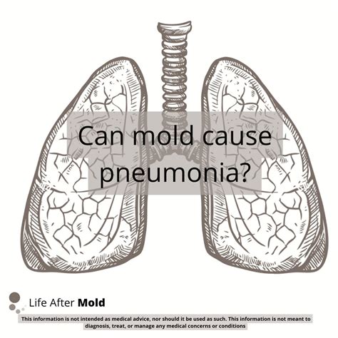 Can Mold Cause Pneumonia