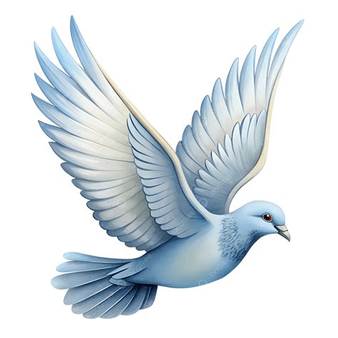 Blue Dove Flying Clipart Illustration Digital Painting, Flying Blue ...