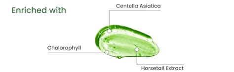 Earth Rhythm Phyto Gel with Centella Asiatica & Horsetail Extract ...