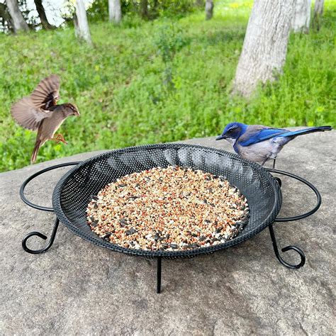 CQAIRIOU Upgraded Ground Platform Bird Feeder Tray,11.8" Stainless ...