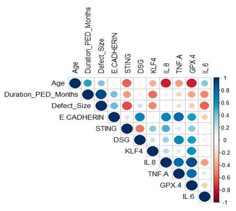 Prolonged Inflammation and Infectious Changes in the Corneal Epithelium ...