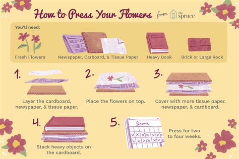 How To Dry And Preserve Fresh Flowers at Jade Evans blog