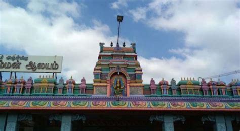 Unmindful of ban, Perambalur villagers hunt rabbits as offerings to ...