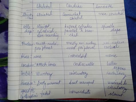 Difference between cardiac smooth and skeletal muscle - Brainly.in