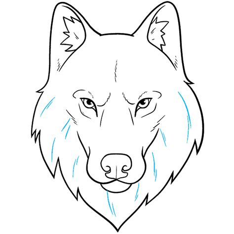 How to Draw a Wolf Face and Head | Wolf face drawing, Wolf drawing easy ...