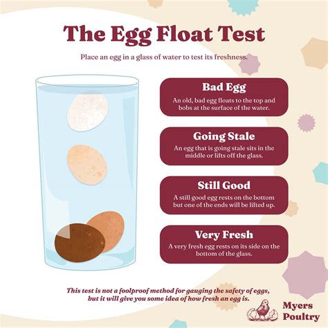 How to Store Farm Fresh Eggs: A Complete Guide