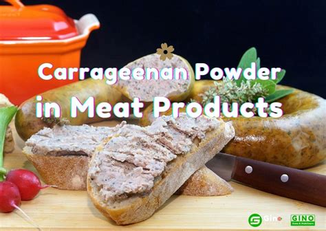 2 Common Usages of Carrageenan in Meat Products - Gino