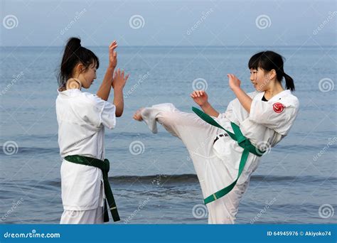 Japanese Karate Sports