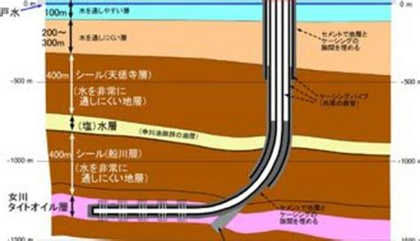 Image result for Appendix with Figures Example