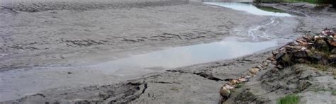 Ahead of Monsoons, Lockdown Delays 122 Flood Control Project Works in ...