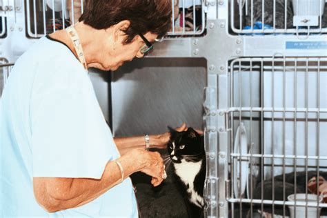 Suncoast Humane Society | Englewood, Florida