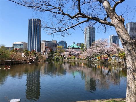 Ueno Park Tokyo: Magical Wonderland of Sakura, Art, and Urban Escape!