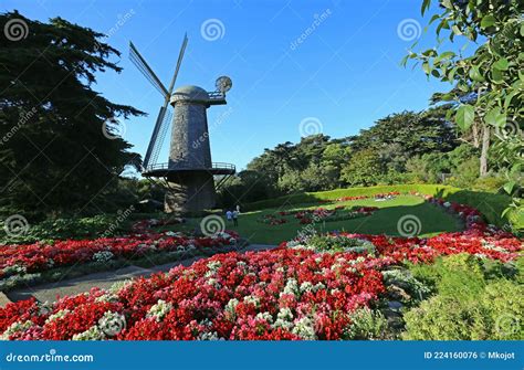 Queen Wilhelmina Tulip Garden Stock Photo - Image of attraction, view ...