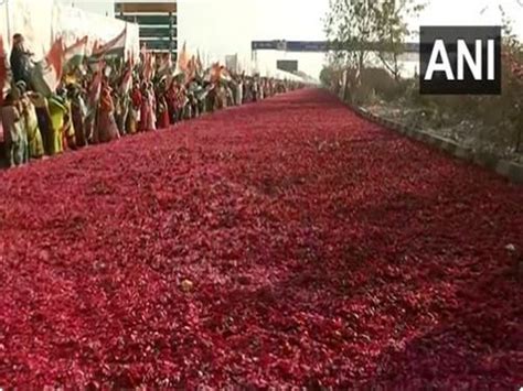 Congress plenary session: Street paved with flower petals to welcome ...