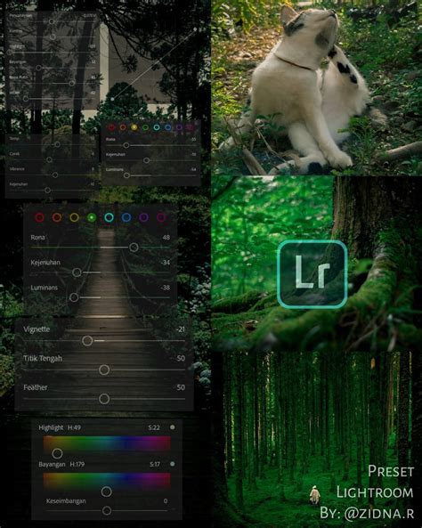 PRESET LIGHTROOM DARK FOREST GRATIS | Preset lightroom gratis, Forest ...