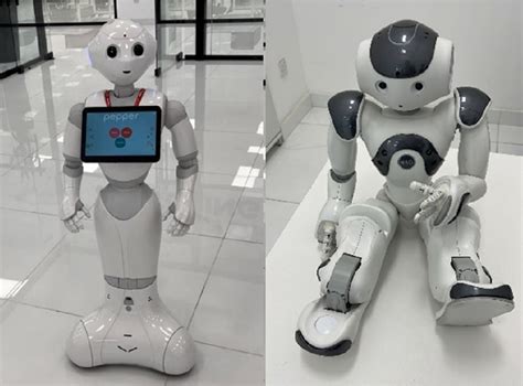 Pepper Nao Robots 的图像结果