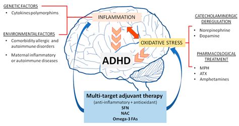 Antioxidants as a Potential Target against Inflammation and Oxidative ...
