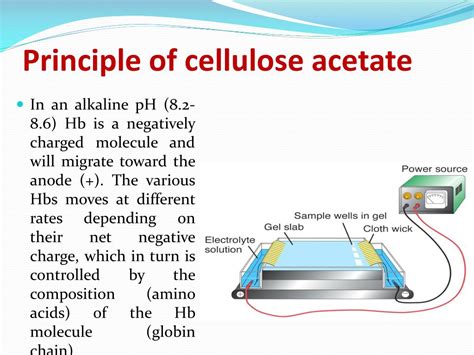 Image result for Class 8 Computer Science Notes