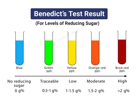 Image result for Benedict Test