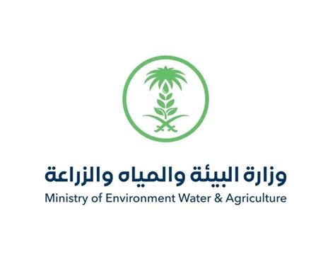 Saudi Arabia Stresses Importance of International Cooperation to Confront Effects of Sand Storms ...