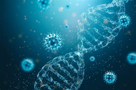 Unsaturated Iron Binding Capacity (UIBC) - Enfer Medical