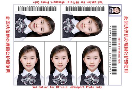中国护照照片标准2024 - 尺寸规格要求 + DIY制作指南
