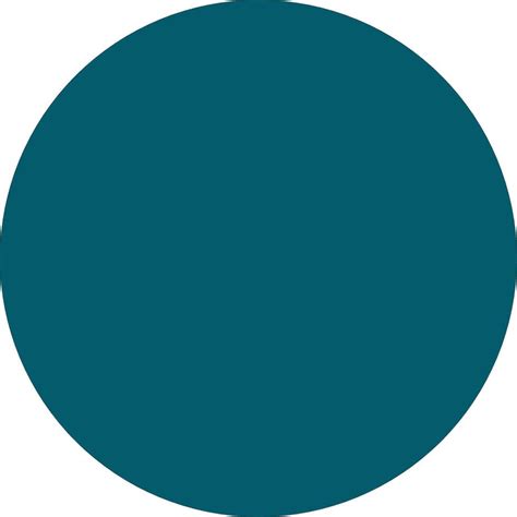 Image result for Circle Code in JSON Format