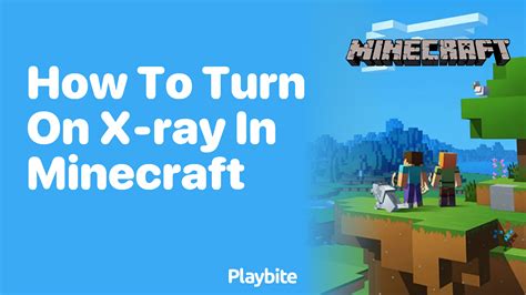Image result for How Do You Add X-ray Hacks to a Minecraft World On Java Edition