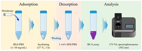 Fabrication and Evaluation of Ceramic-Based Hollow Fiber Membrane ...