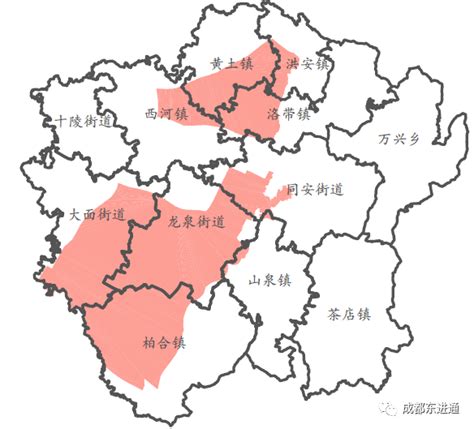 龙泉驿：推动共建共治共享社会治理格局成型成势---四川日报电子版