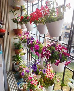 Planterior - Interior with Plants