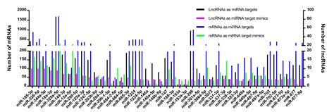 Identification and Functional Analysis of lncRNAs Responsive to Hypoxia ...