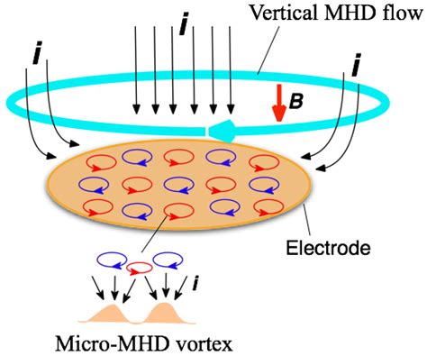 Effects of Vertical Magnetohydrodynamic Flows on Chiral Surface ...