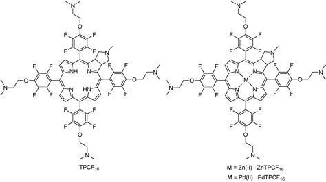 Photoinactivation of Planktonic Cells, Pseudohyphae, and Biofilms of ...