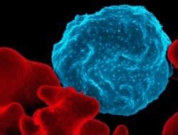 Infectious Diseases - A Level PDF Download