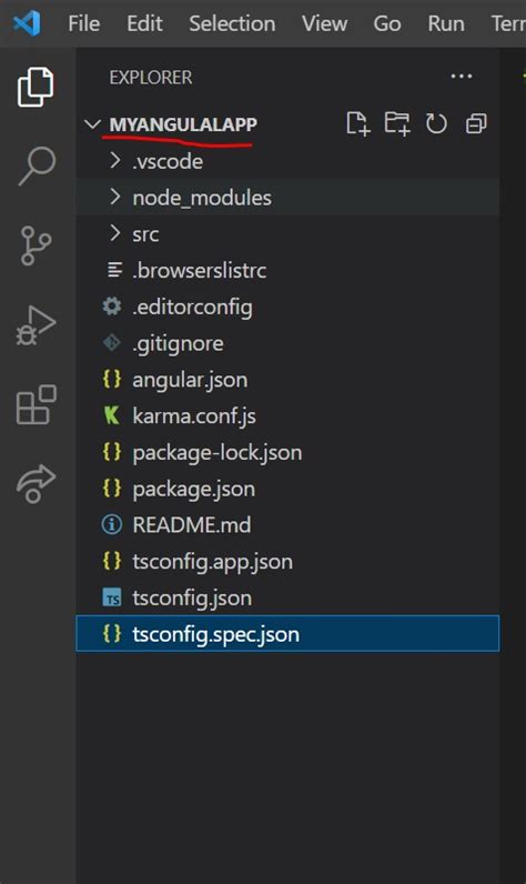 Image result for How to Create New Web App Project Angular