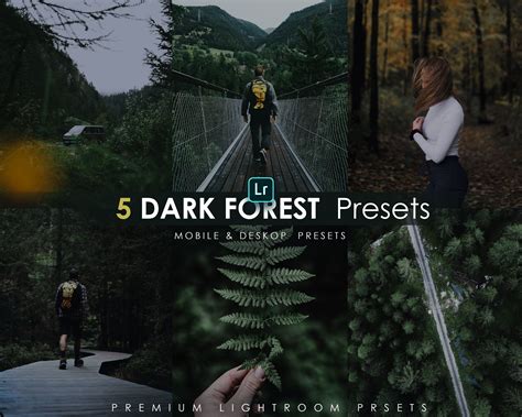 Dark Forest Lightroom Presets: Mobile & Desktop (DNG, XMP) - Etsy ...