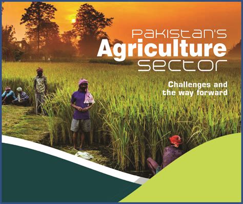 Pakistan’s Agriculture Sector – Jahangir's World Times