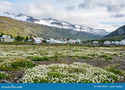 Scenic View of Small Town Seydisfjordur on East Iceland in Summer with ...