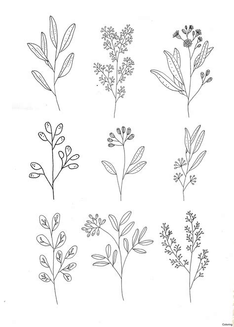 flowers drawing pinterest